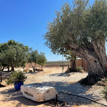 הוילה Écija La Casa Del Olivo מראה חיצוני תמונה