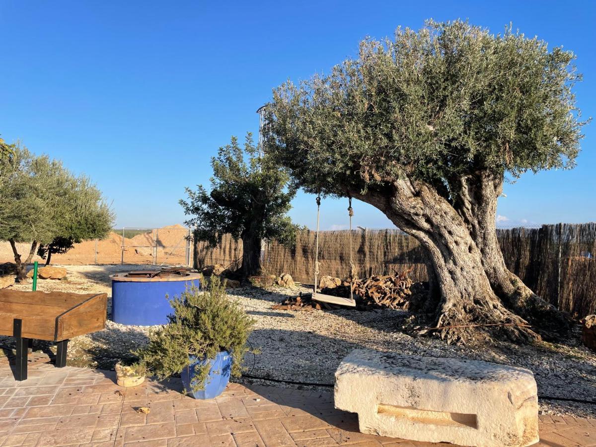 הוילה Écija La Casa Del Olivo מראה חיצוני תמונה